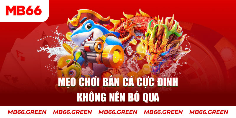 w88top gà chọi thomo