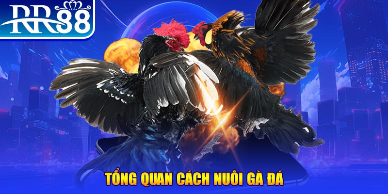 tai game bai ve may