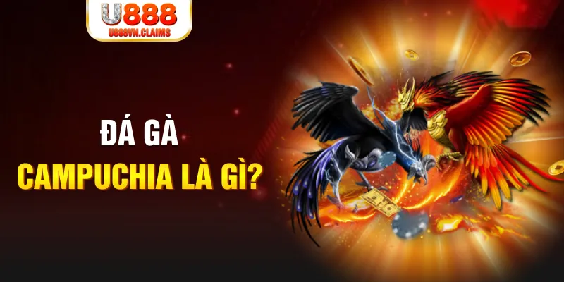 w88top kết quả xổ số hôm nay