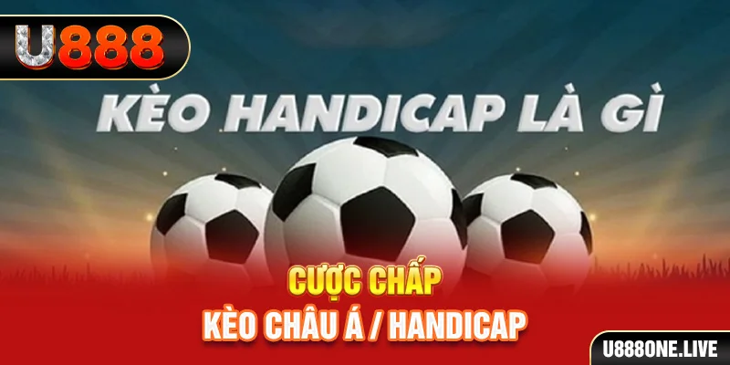 w88top hòn gà chọi