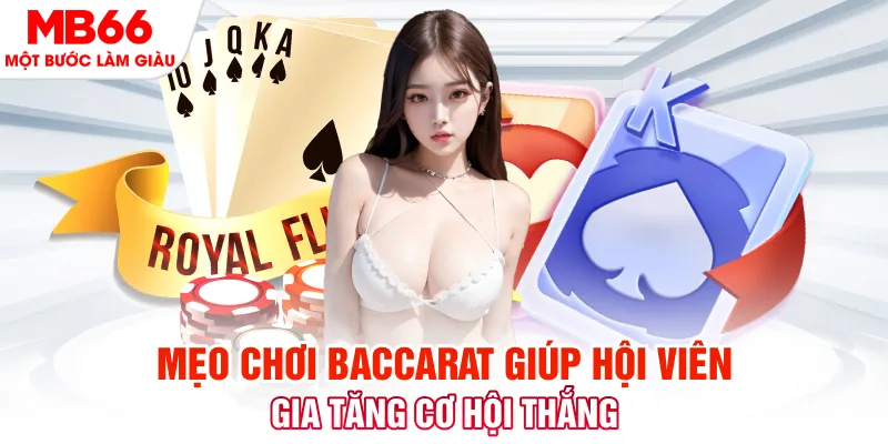 w88top cá cược là gì