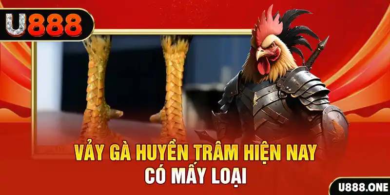 w88top máy tính online casino