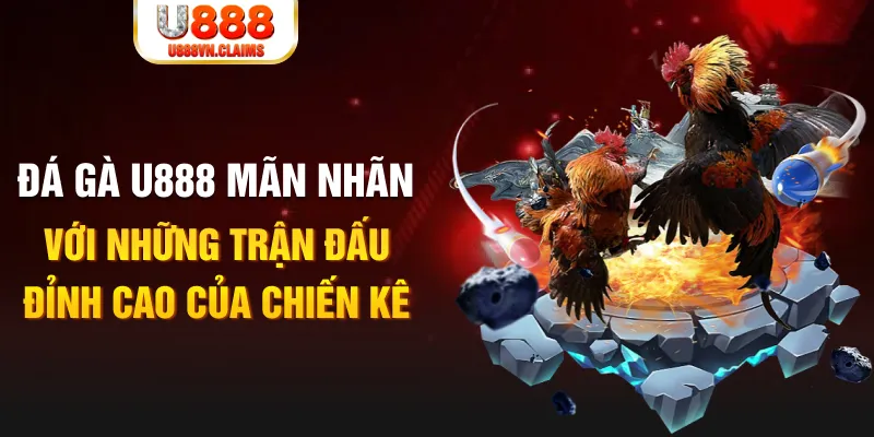 w88top nỗ hủ là gì