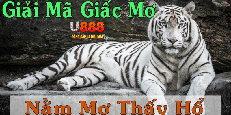 w88top game máy bay cá cược