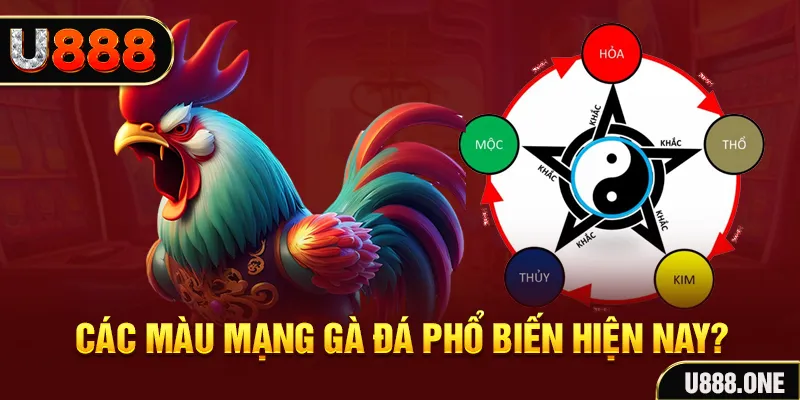 nổ hủ là gì