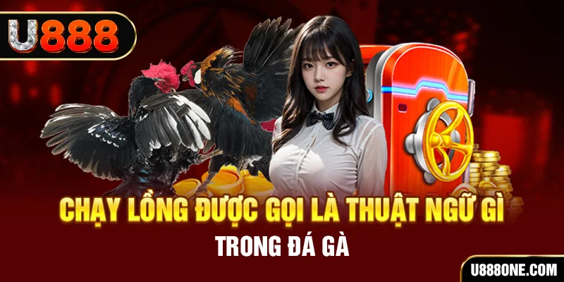 w88top V8 Game Bài 3d