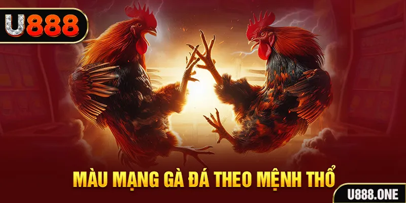 w88top R88 Game Bài 3d