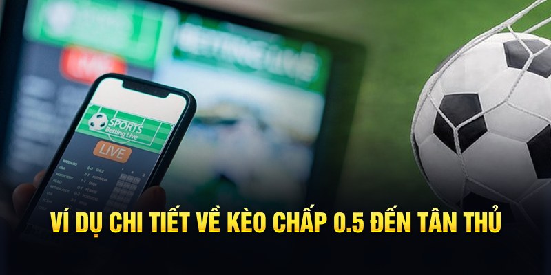 w88top gà chọi cậu thanh
