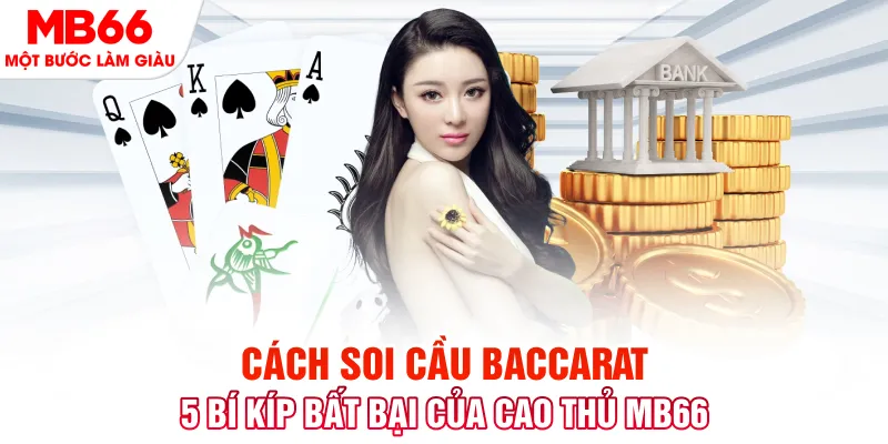 Cỡ bảy