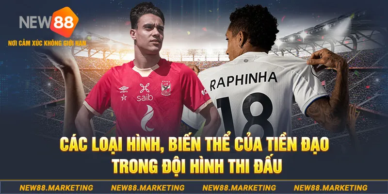 w88top qq88 bắn cá