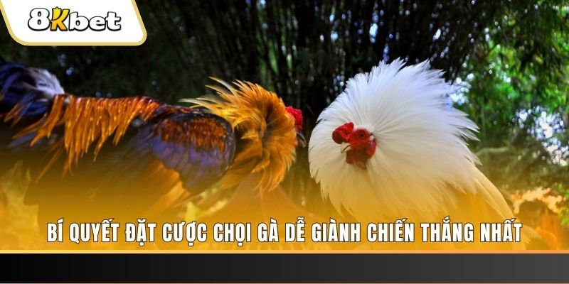 w88top Giành Chủ Bull Bull