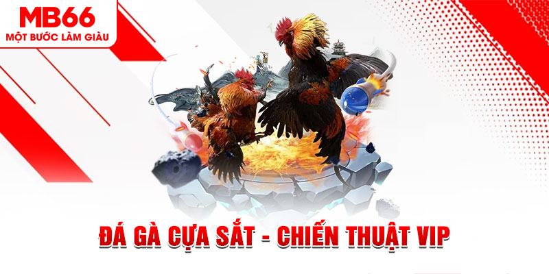 w88top đá gà hôm nay